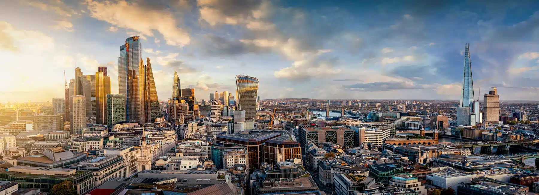MVF London office